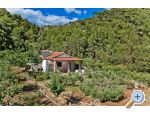 Haus Patrizia - ostrov Hvar Kroatien