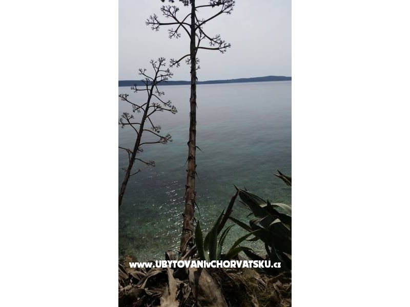 Kuća za odmor Rubinić – Ferienwohnung Insel Hvar, Kroatien – Foto 10