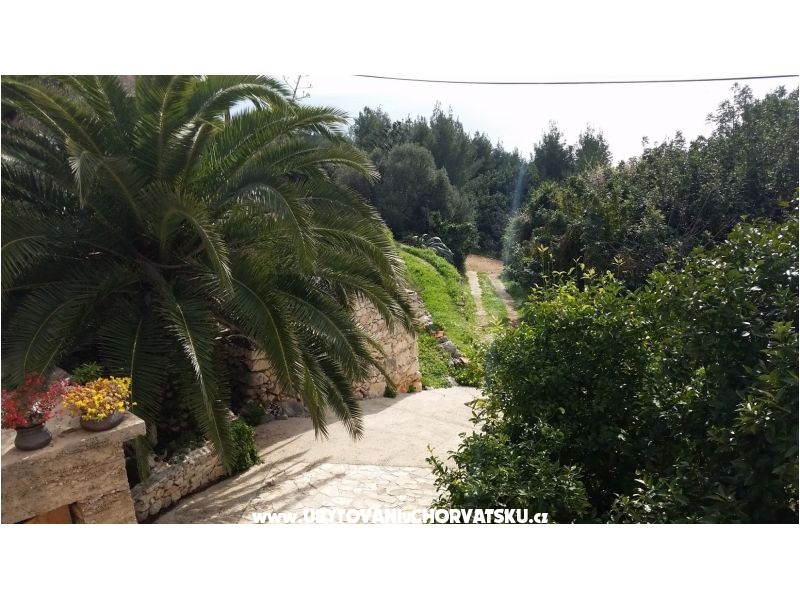 Kuća za odmor Rubinić – Ferienwohnung Insel Hvar, Kroatien – Foto 4