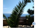 Sobe i Apartmaji - Villa Irming - ostrov Hvar Hrvaka
