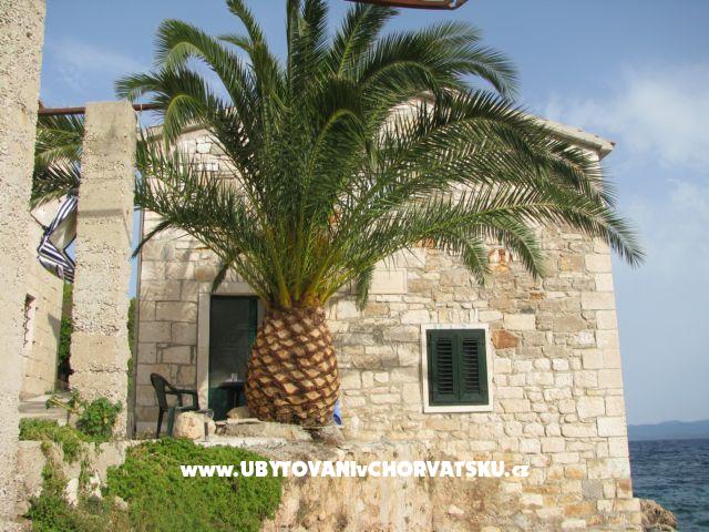 Vila Lila – ubytování ostrov Hvar, Chorvatsko – foto 1