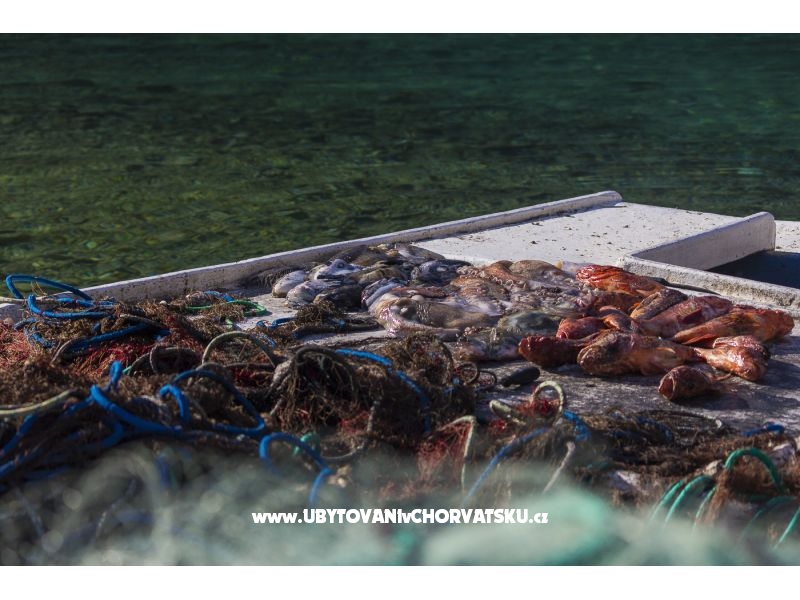 Vila Vela Stina – Ferienwohnung Insel Hvar, Kroatien – Foto 12