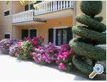 Villa Carevic - ostrov Hvar Hrvaka
