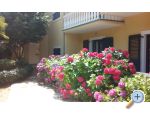 Villa Carevic - ostrov Hvar Hrvaka