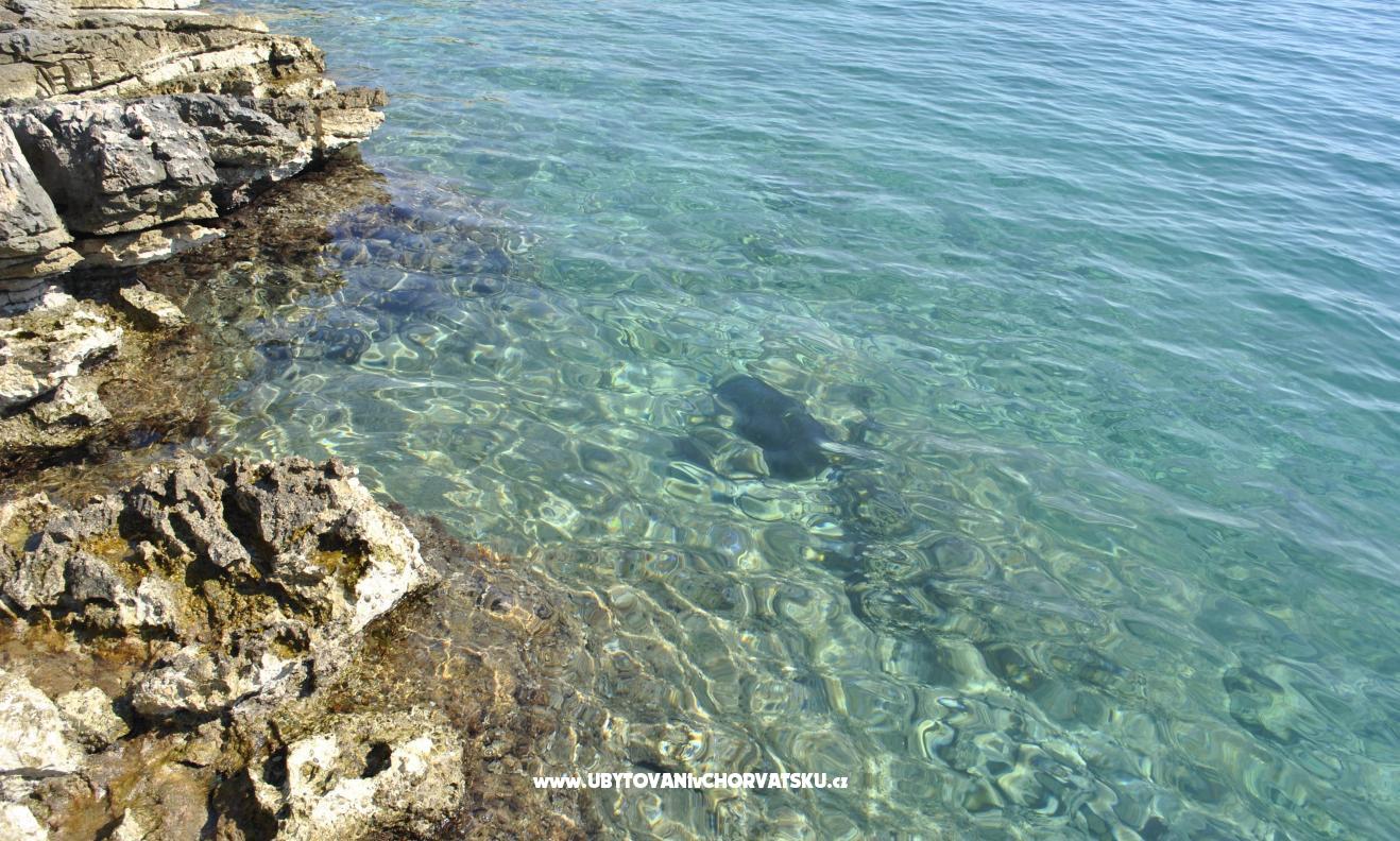 Villa Hvar Melody – Ferienwohnung Insel Hvar, Kroatien – Foto 4