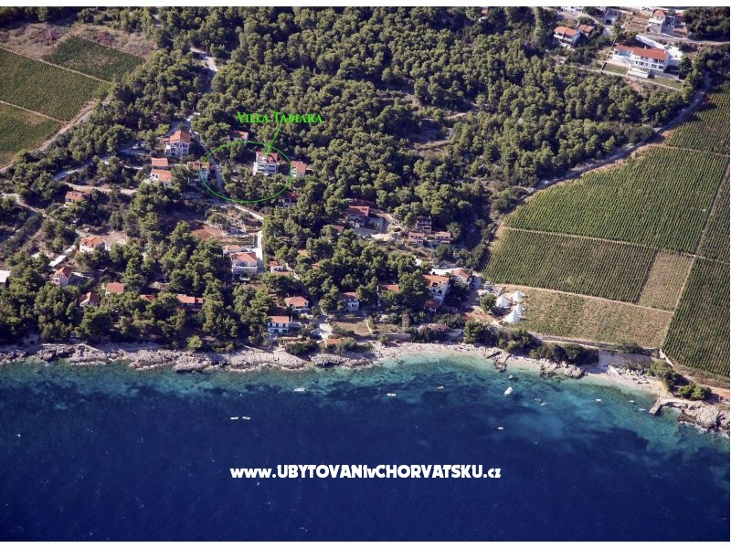 Villa Tamara – Ferienwohnung Insel Hvar, Kroatien – Foto 11