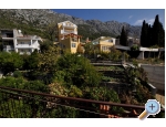 Apartment Silvana - Igrane Kroatien