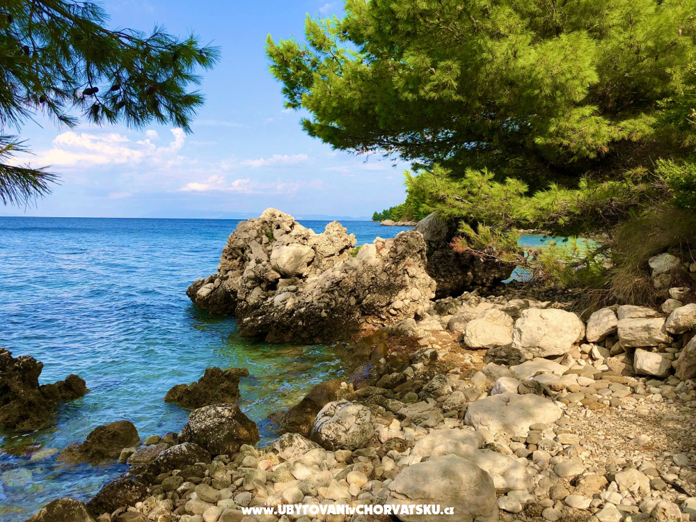 Apartmány Andja - Igrane Chorvatsko