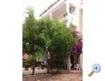 Appartements Lile - Igrane Kroatien
