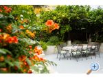 Apartmani Stari ribar  – Igrane – náhled 10