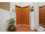 Apartmny Tonko - Igrane Chorvatsko