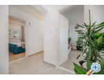 Apartmny Tonko - Igrane Chorvatsko
