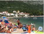 Appartementy RIBICA 1/2/3///6/7 - Igrane Croatie