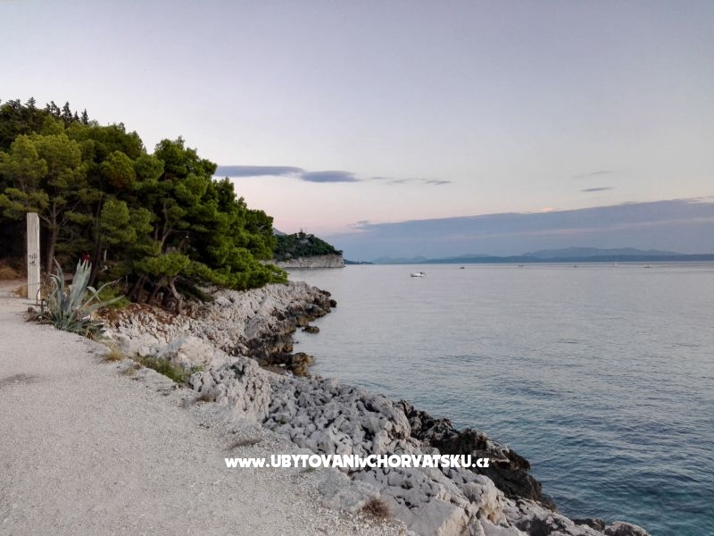 Apartmány Ribica 1 – Ferienwohnung Igrane, Kroatien – Foto 10