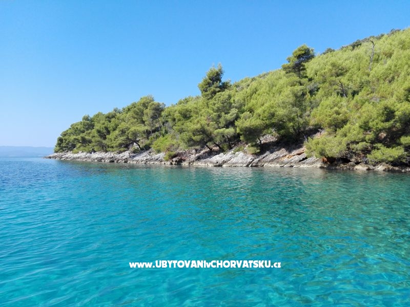 Apartmány Ribica 1 – Ferienwohnung Igrane, Kroatien – Foto 11