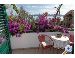Villa Maslina - Igrane Kroatien