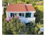 Villa Maslina - Igrane Croatie