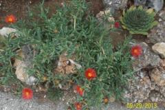 Apartmány Malac Apartmán 1 foto 6