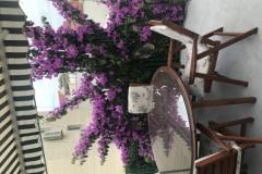 Apartmány Sara Baška Voda Apartmán 1 – A5 foto 2