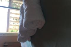 Apartmány Meri Apartmán 2 foto 5