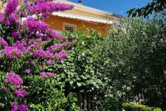 Apartmán Mara Apartmán 1 foto 1