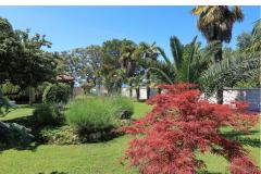 Dragan Apartmány Apartmán 3 foto 1