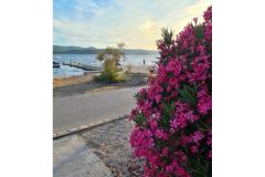 Apartmán Mare - prvi red uz more Apartmán 1 – Mare foto 3