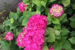 Apartmány Jurov Apartmán 1 foto 2