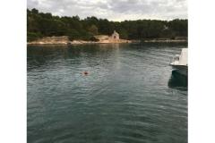 Apartmán Zaga Apartmán 2 – Didica foto 1