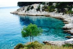 Apartmány Violeta Apartmán 1 – Marijan foto 1