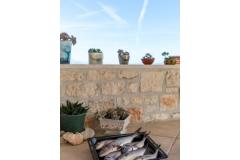 Holiday Dům Brač Apartmán 1 foto 6