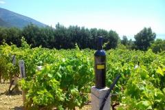 Dům k odpočinku Ratac**** Apartmán 1 – 2xA5 foto 1