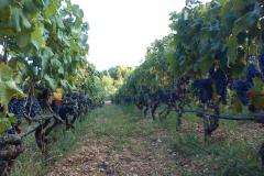 Dům k odpočinku Ratac**** Apartmán 1 – 2xA5 foto 4