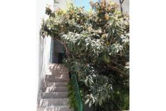 Apartmány A & N Bekavac . Apartmán 4: (2+2) – A2+2 foto 5