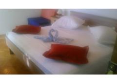 Villa Nikola Apartmán 1 foto 5