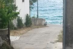 Ubytování Julia Apartmán 6 foto 2