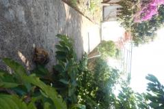 Apartmány Diana Apartmán 1 – Apartman 1 foto 5