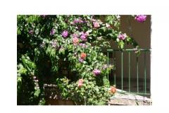 Apartmány Majica Apartmán 2 foto 4