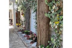 Apartmány Ela Apartmán 2 – A1 foto 4