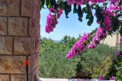 Dva labuda Apartmán 5 foto 1