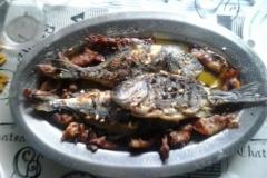 Dům k odpočinku RB SANTINI Apartmán 1 – House foto 4