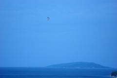 Apartmány Ivana  Apartmán 2 – Studio A foto 1