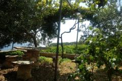 ART AND NATURE  Apartmán 1 foto 6