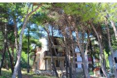 Apartmány Floris Ivan Dolac Apartmán 3 foto 4