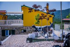 Luxury villa Cvita Apartmán 1: (18+4) – VillaCvita foto 3