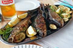 Penzion Kozina Pokoj 2 – Tr.soba foto 5