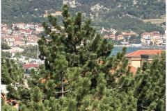 Apartmány Maričić Apartmán 3 – Stella M 3 foto 5
