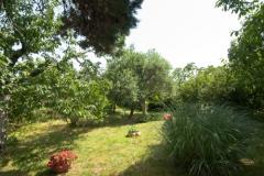 Sea Dream Apartmán 1 – Sea Dream foto 3