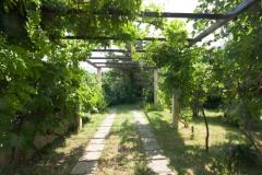 Sea Dream Apartmán 2 – Sea Dream2 foto 3