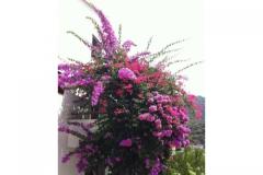 Villa Paradise Apartmán 2 foto 1